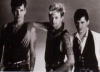 StrayCats15